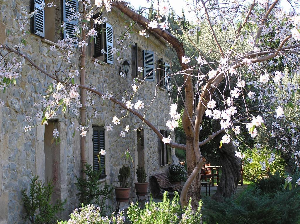 Agroturismo S'olivar Estellencs (Mallorca)
