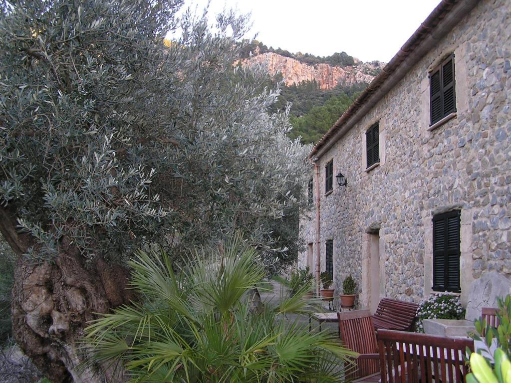 Agroturismo S'olivar Estellencs (Mallorca)