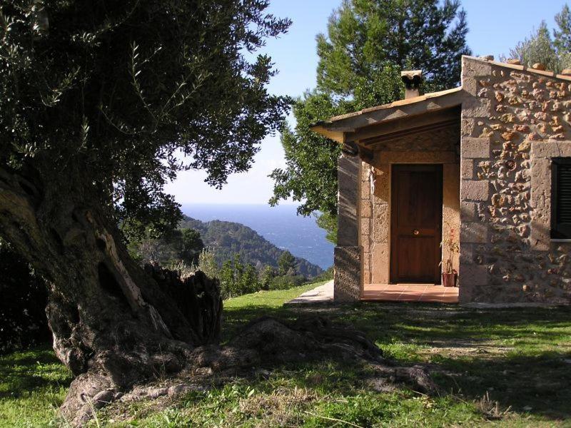 Agroturismo S'olivar Estellencs (Mallorca)